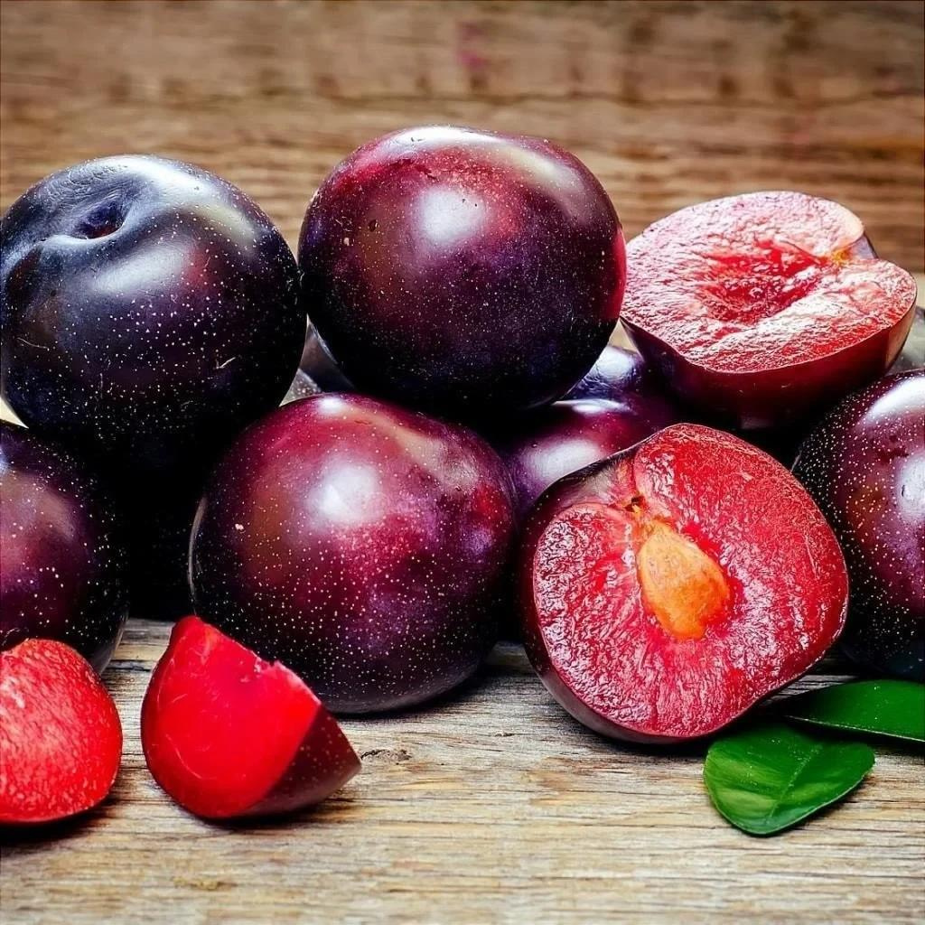 Erik Fidanı Paketi - 2 Yaş - Açık Köklü (3-5-10-20'li Paketler)