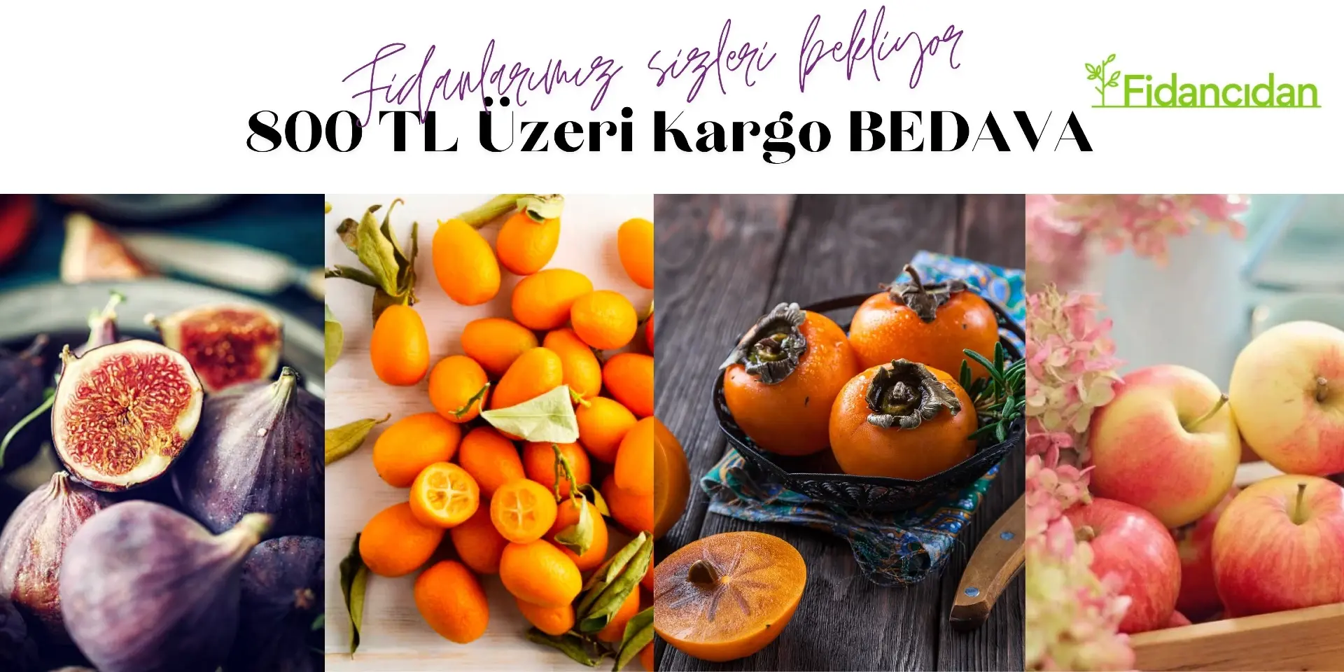 Fidancidan Bedava Kargo Banner
